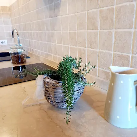 Apartment Fonteregia