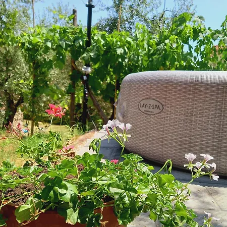Fonteregia Appartamento *