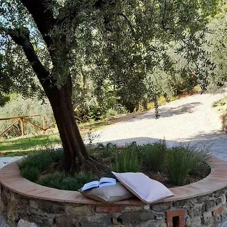 Fonteregia * Montecatini-Terme