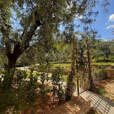 Apartment Fonteregia