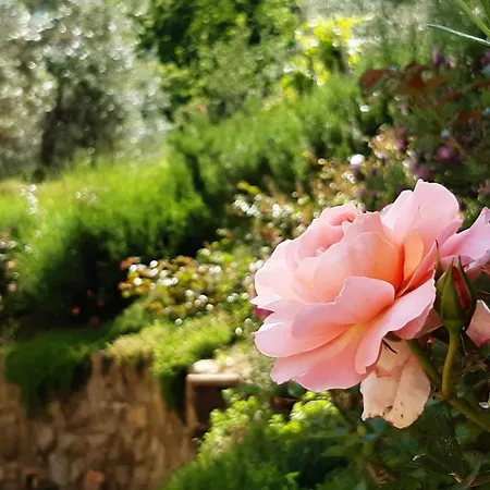 Appartamento Fonteregia