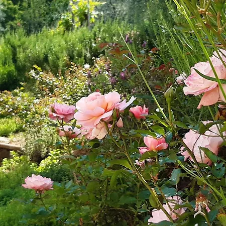 Appartamento Fonteregia *